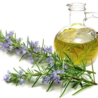 16 Oz Rosemary Oil 100% Pure Essential Oil buy