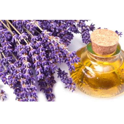 16oz Lavender Oil 100% Pure essential Oil Buy Bulk